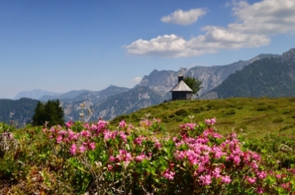 Postalm